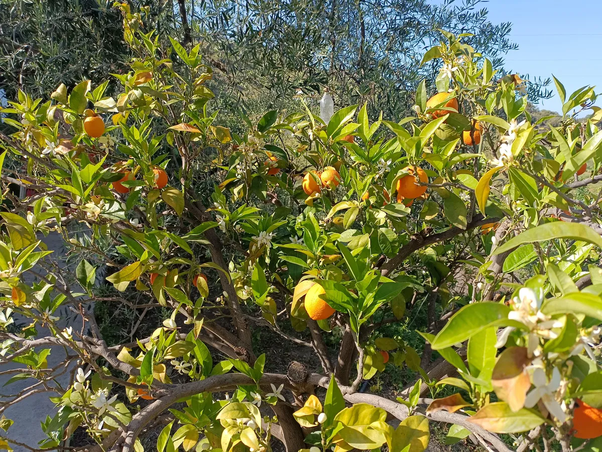 66ac999e-b779-4091-aa19-97c7478c6170