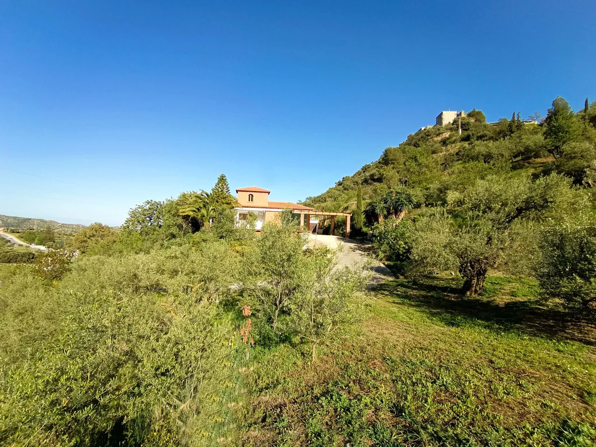 6c3c37ea-78ca-4b77-aa31-045f6f0befcd