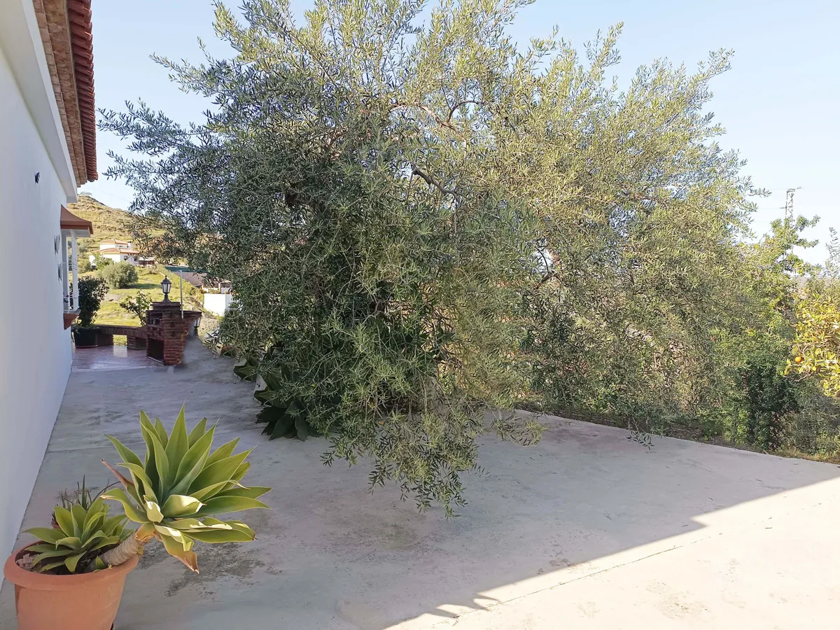 8eb56fb3-41bc-4d4b-8c5d-c0f03eba89ea