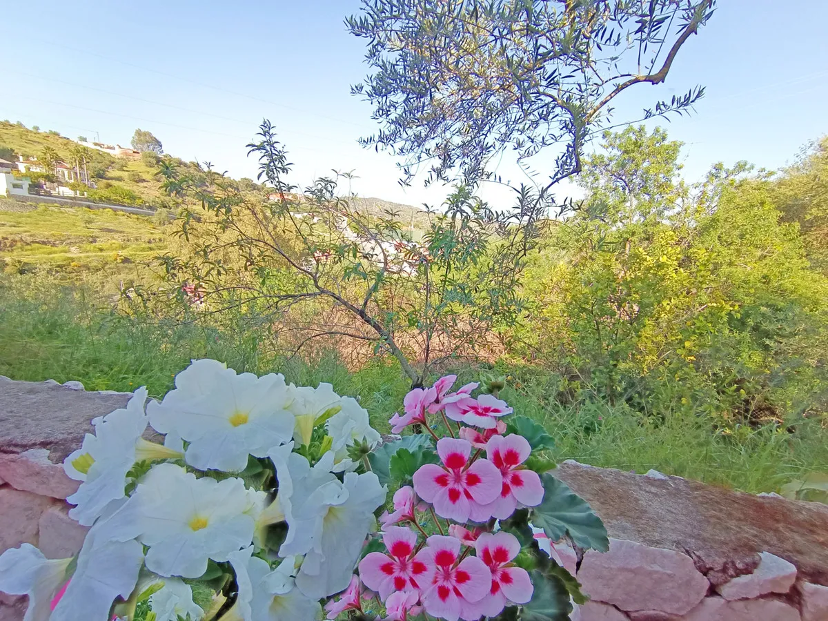 bb700b18-0bc1-4598-8431-7cfc01bf8c07