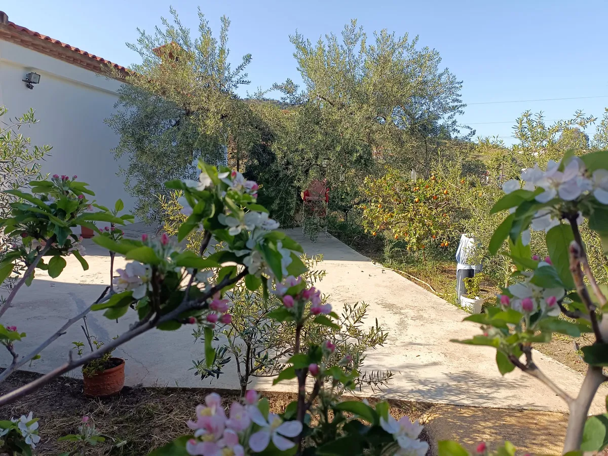 dbb4bd69-61c5-4fd2-ad1e-6e25efef6aed