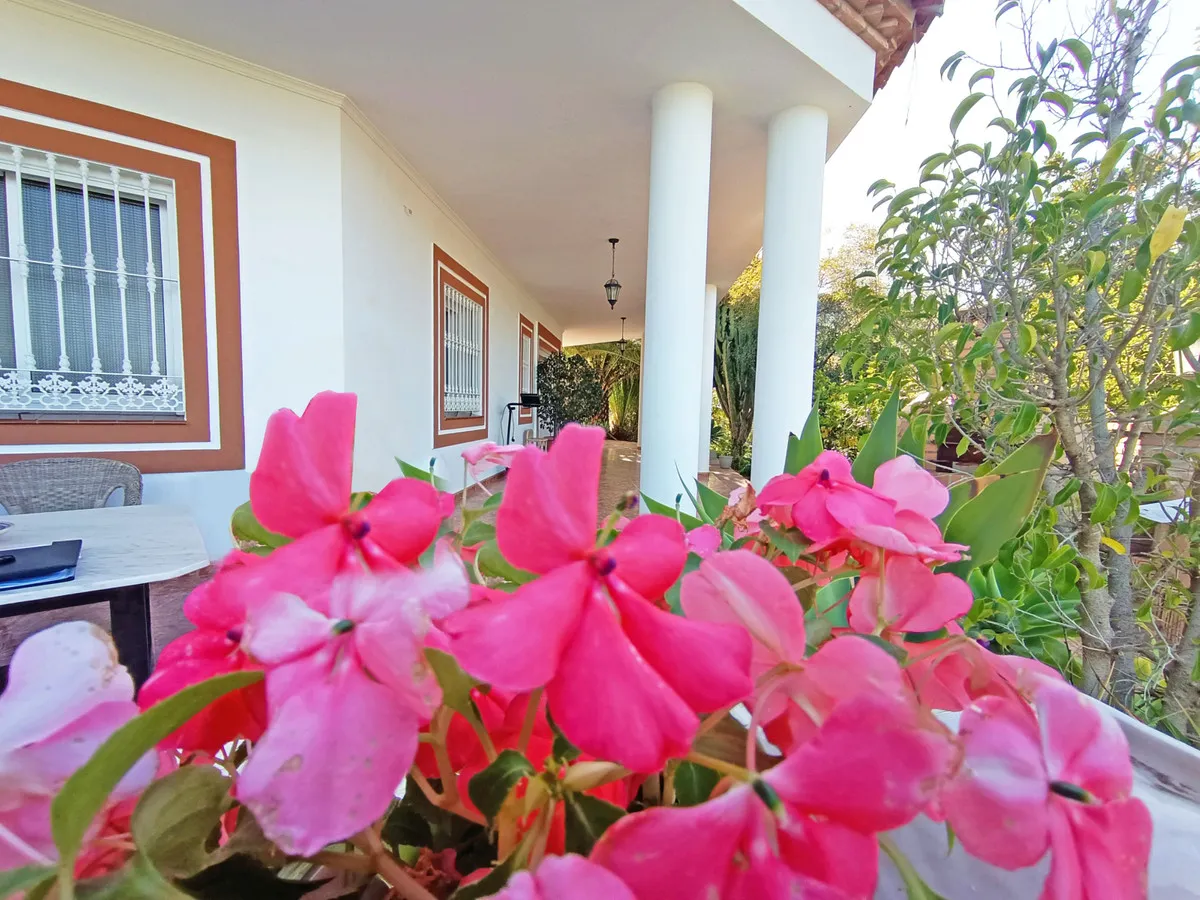 df1520f0-a333-4142-9bba-a3b2bf4cc805