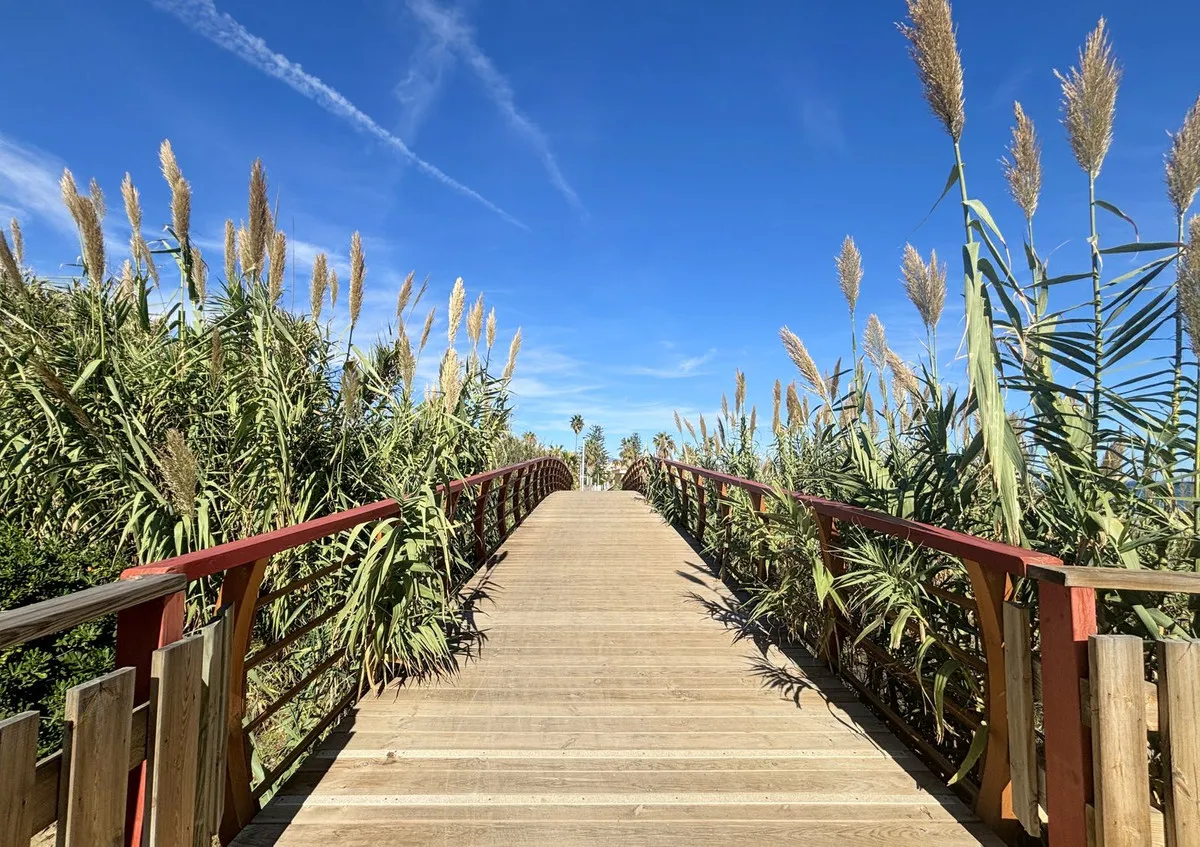 8fcedc89-05f9-404f-8ace-38c1b2b4e486