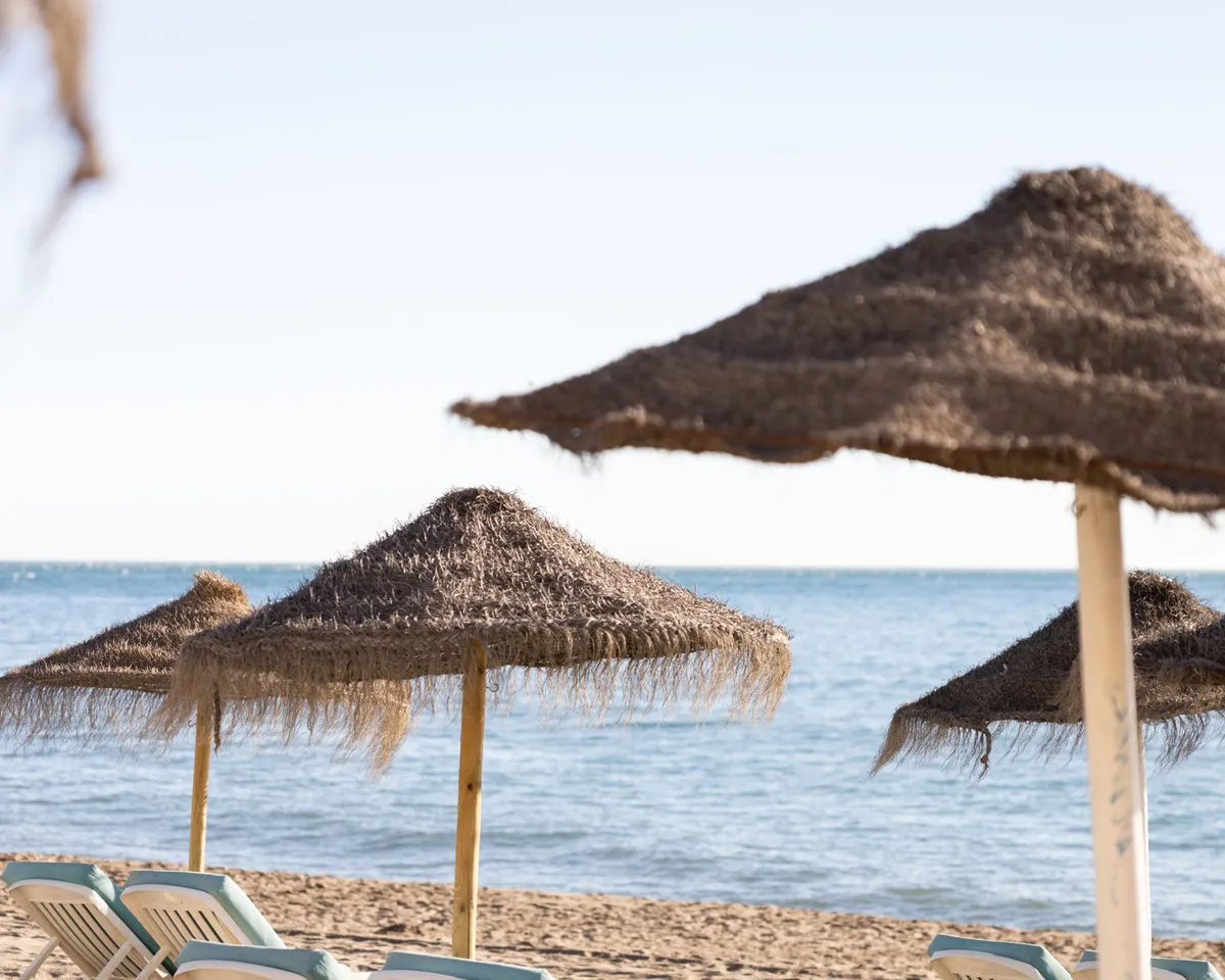 b121edf3-6dcd-4439-8a30-9f5ce23cb868