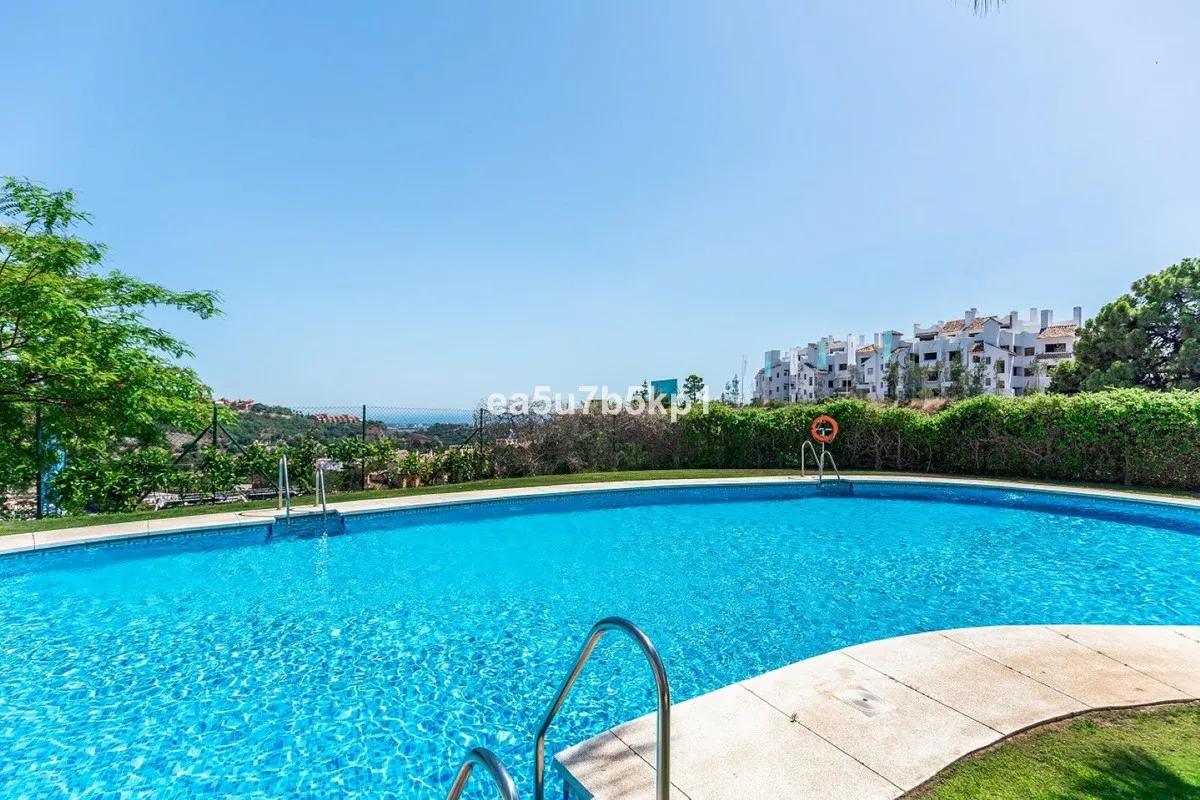 7ede336a-47ee-43db-b7d3-e86a2c26cdb8