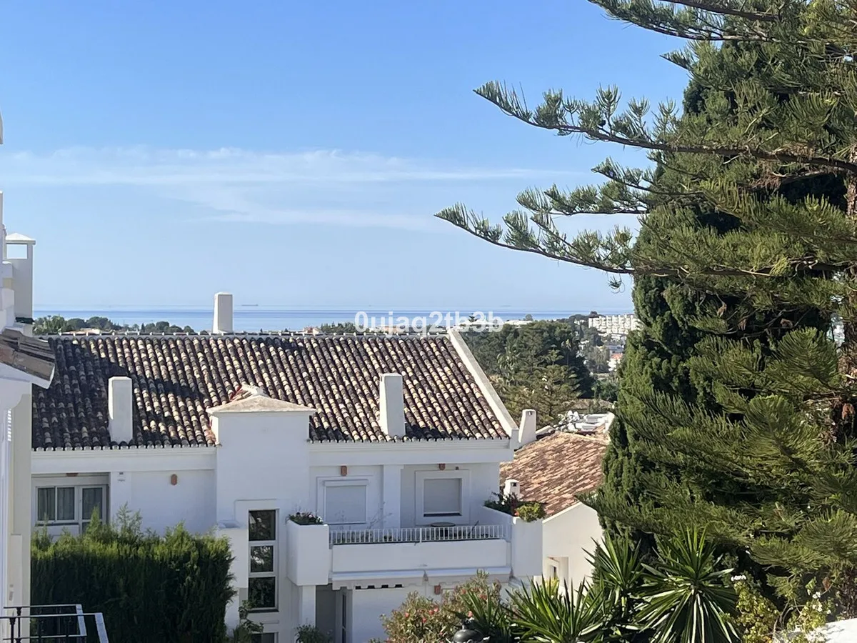 d295345a-e7f9-4a31-b0dc-507ec4b97744