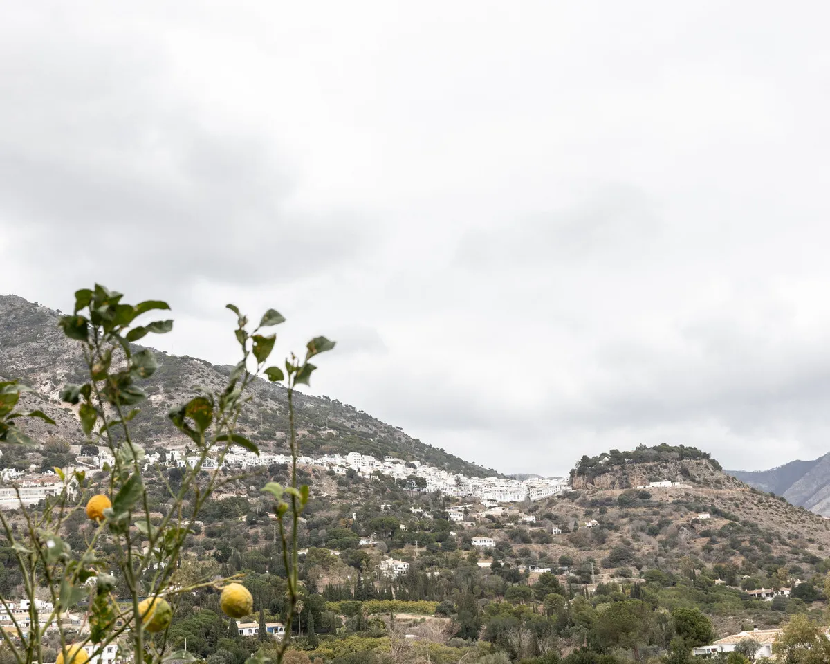 7ccd3a81-219b-4115-93d0-9703f3ba0a40