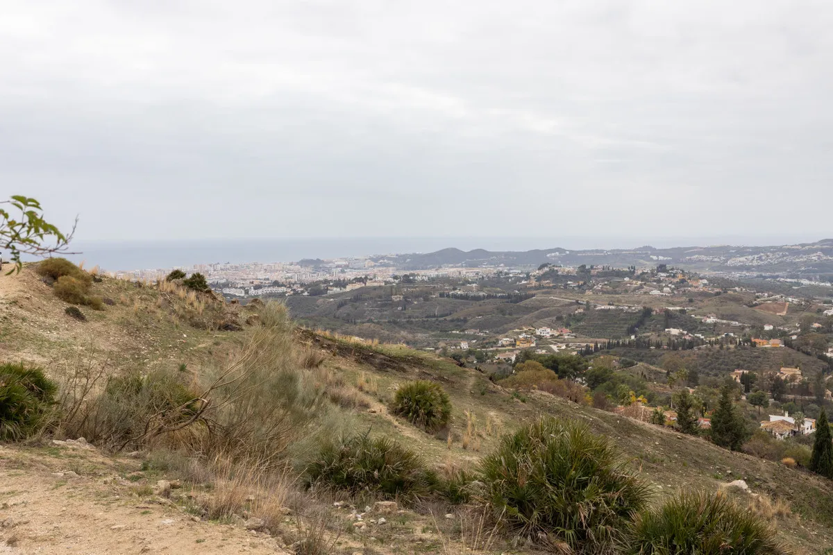 9c03781d-7d1a-4bc5-b33e-86feeb044e9c