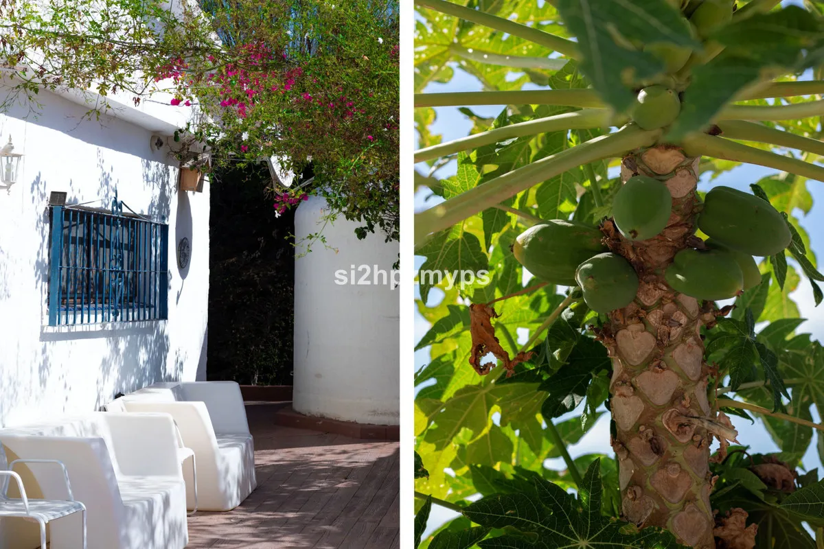 9a65c245-7bae-474c-9e6f-72703c8c990e