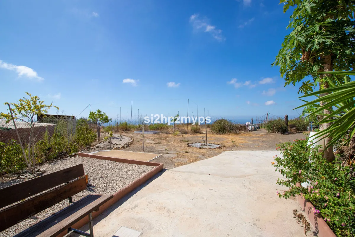 f69b3381-00ae-4d95-83dd-09a64c318811