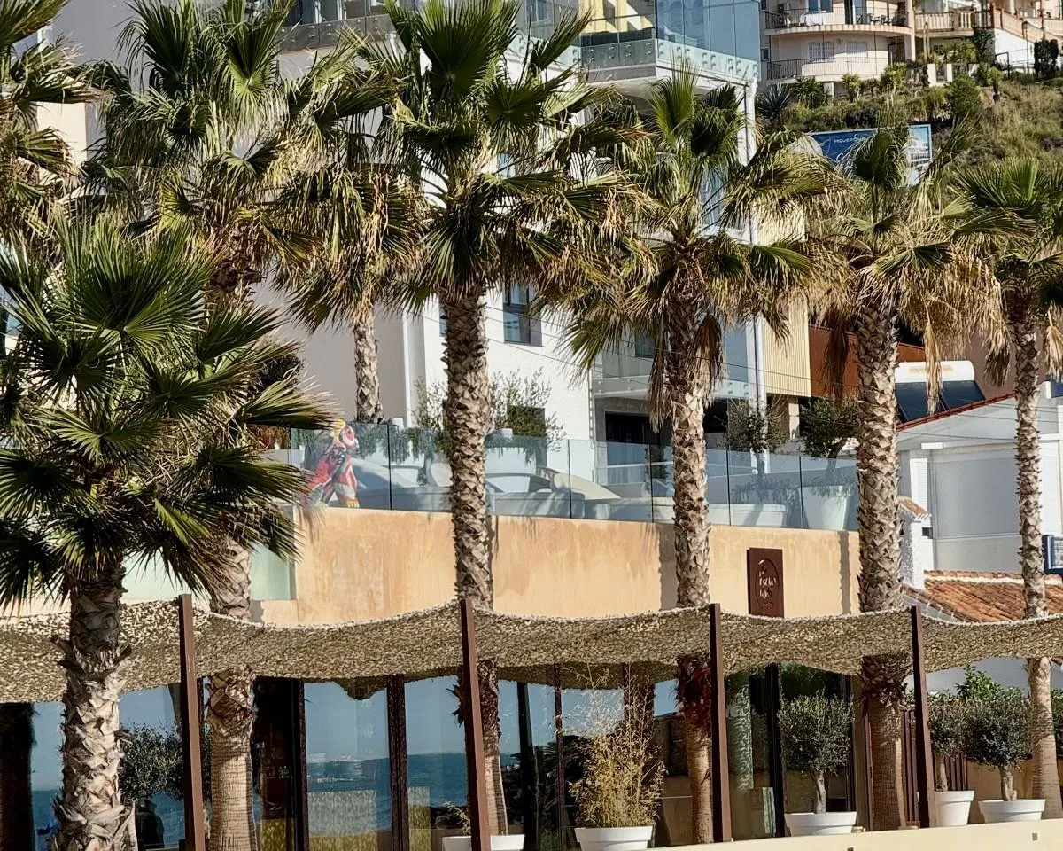 81d037c9-a253-40a3-b1a3-d8109668c6fe