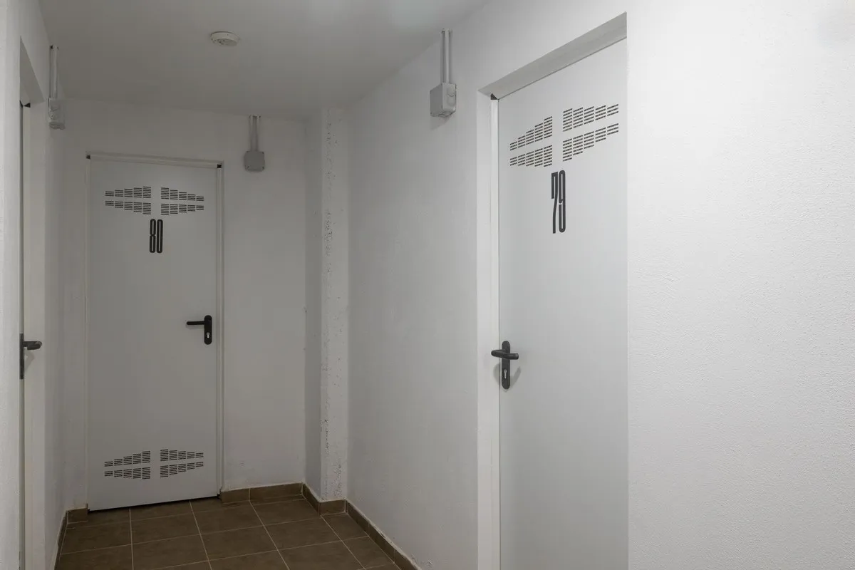 d8280657-4821-40fd-94dd-788276adbd17