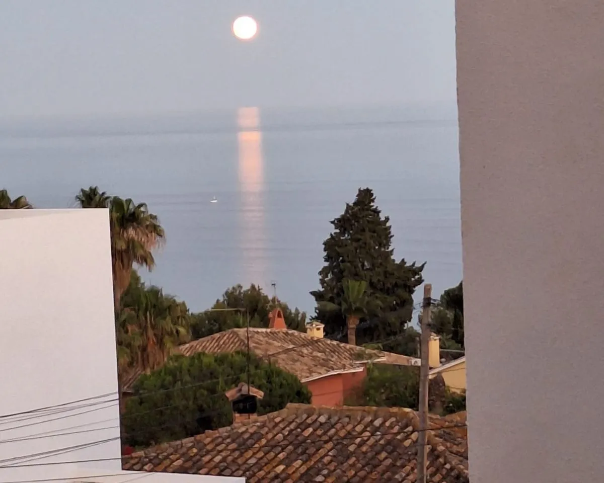 ba300d13-ff92-4904-8267-84ef579c2876