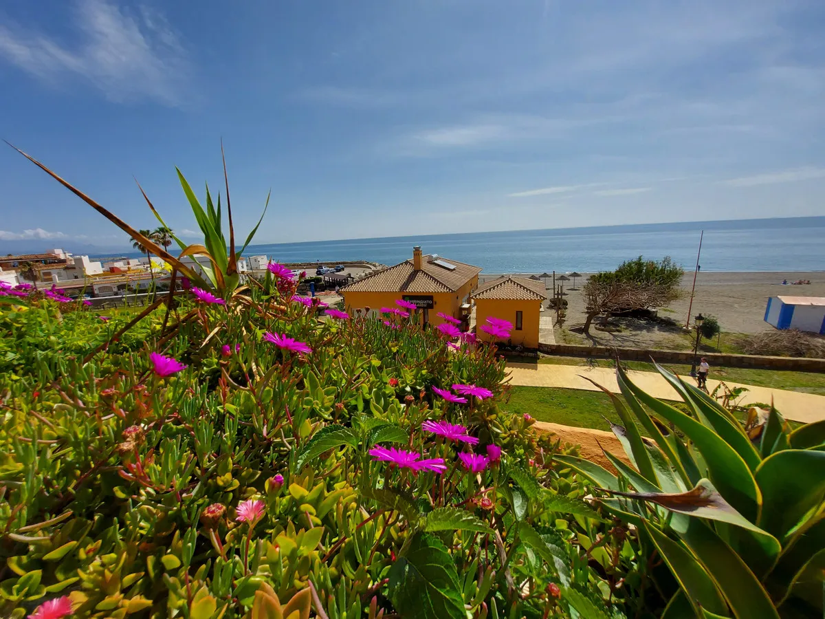 725767e9-d2bf-466b-acb8-cf761693ed6f