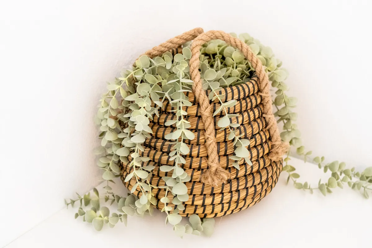 66336e3c-642f-4d9f-8b38-72d113356751