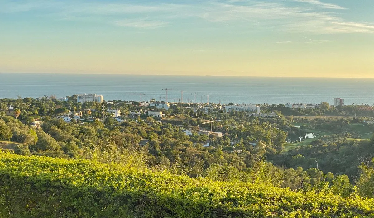 da579df5-3d36-4f61-804c-f6d6a935d79d