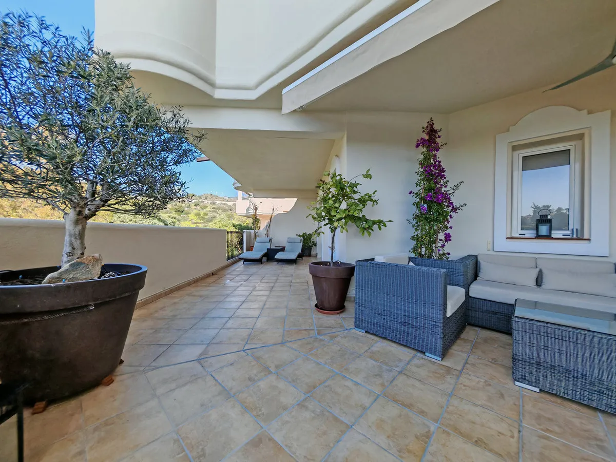 e3bf2413-9164-4d4e-85e2-d4cd65637170