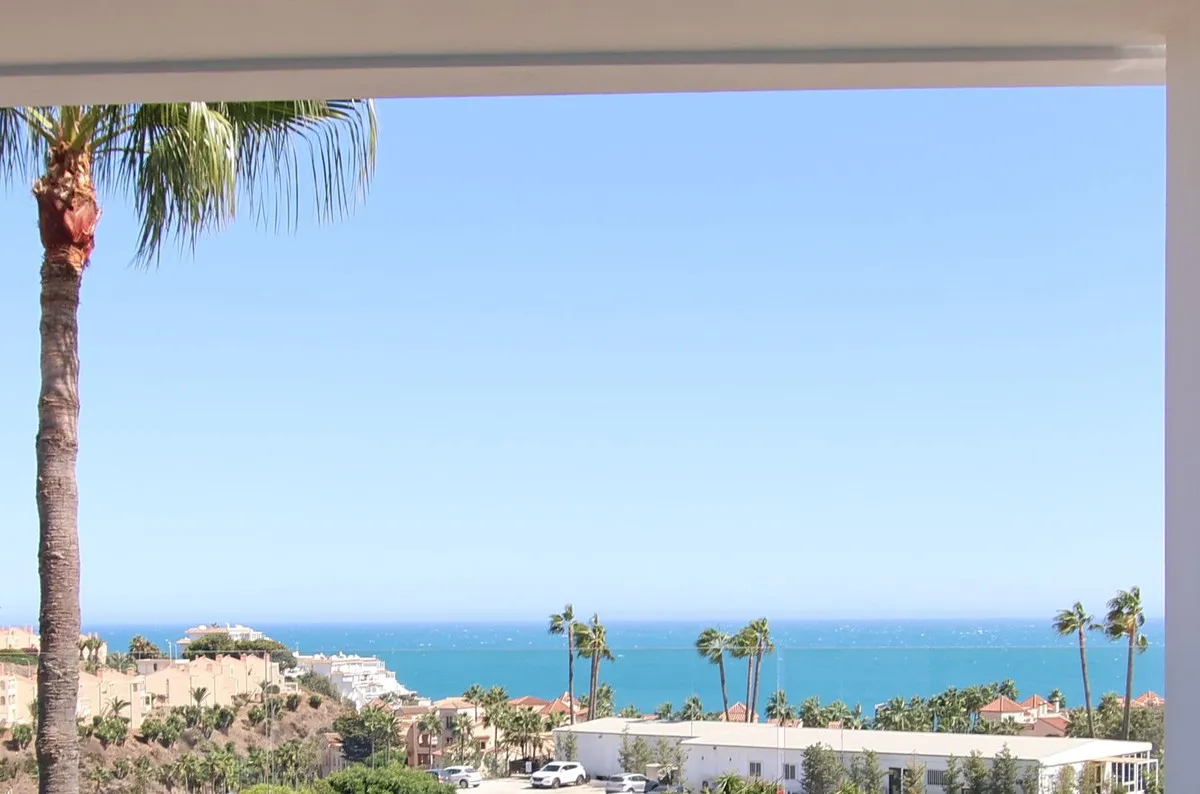 dfa56343-7715-4c21-8c54-64bda38686c5