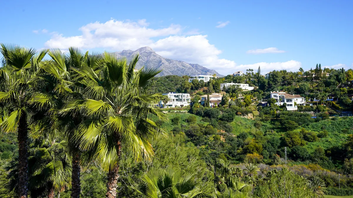 d1a8b0f5-0bfb-482f-8a2a-bb064bd0585e