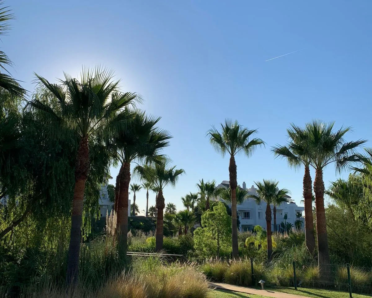 acaa2006-3e61-4757-b085-ac7c96241067