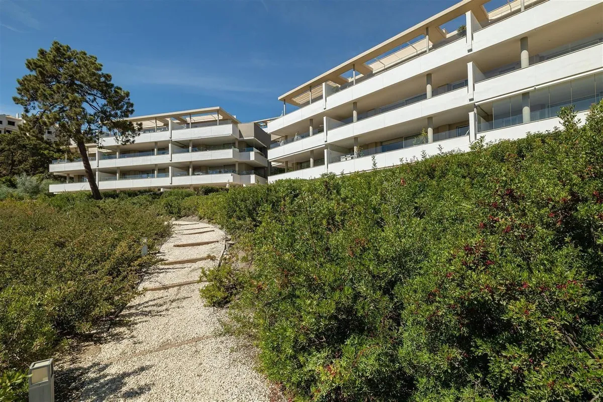 d5828478-1c35-4143-9146-8dae224be602