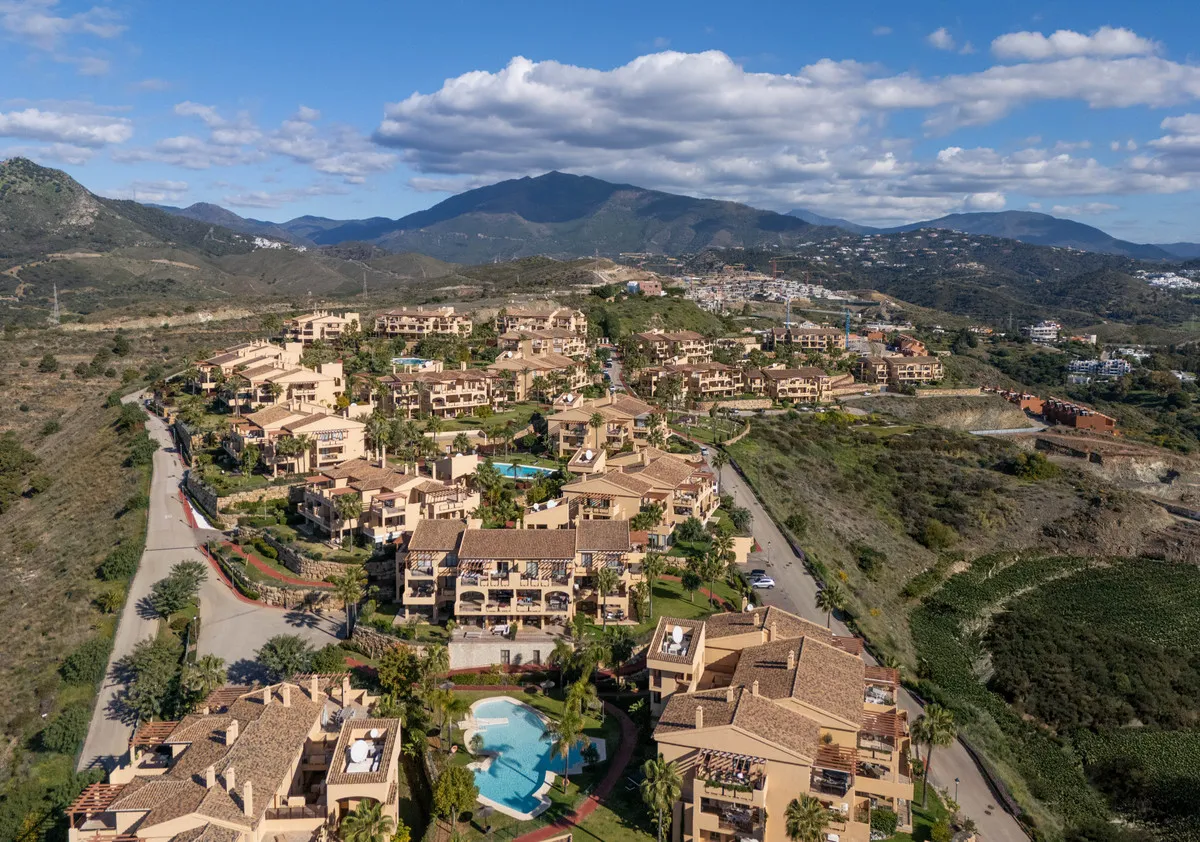 d3509307-ec4d-4ca6-b099-ec7e293e96d7