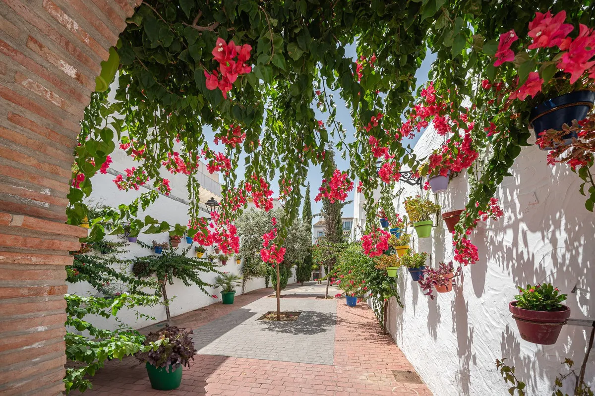 ffc31960-27b8-44cd-afa6-3b50872e9915