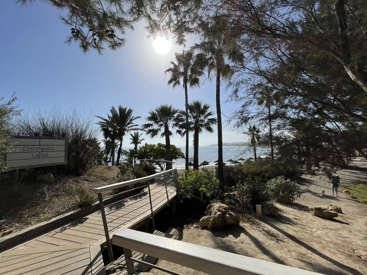 151d7498-d5d2-4716-a538-5d5653fd272f