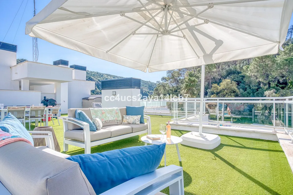 7d03c553-2bf0-4c8b-a8cc-767ecc3f5d51