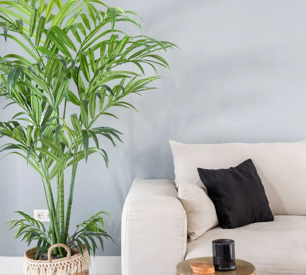 b413592b-7de7-4bc3-acc6-932f6dbf7e22