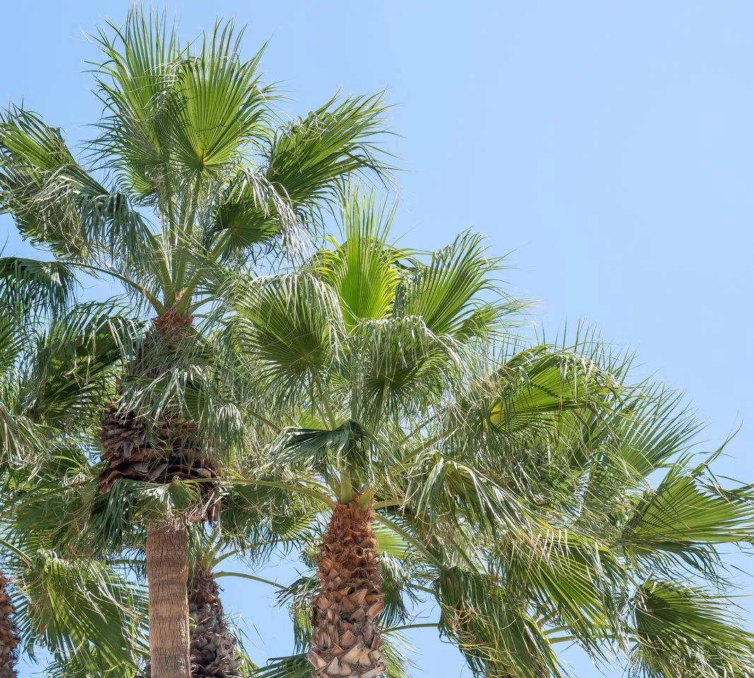 bb35d118-3d34-4501-8aa3-615875271004