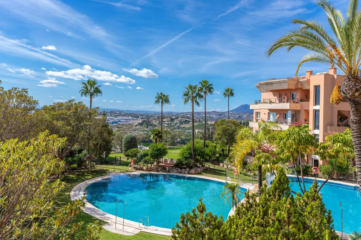 d16ae370-524d-44fb-bf2f-23c3b8dafa60