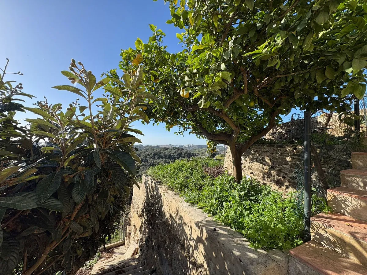 15f5c240-e4c9-4a75-817d-41091a663ad1