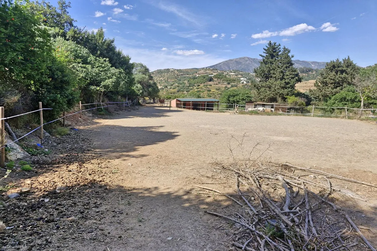 065fad12-4c06-4e87-b027-00c83cbdaea7