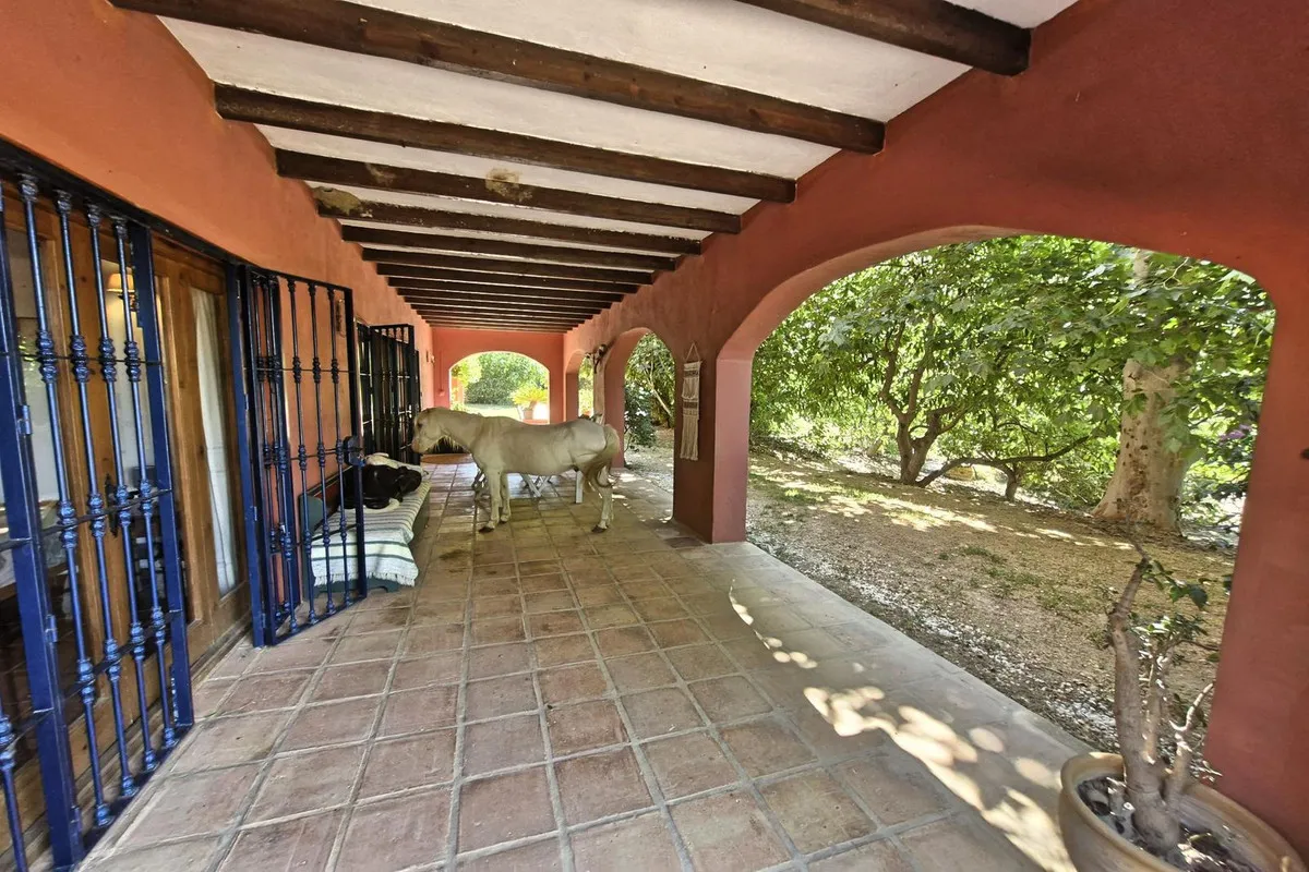 443253e5-2e06-4cb4-a380-91a57cb28cac