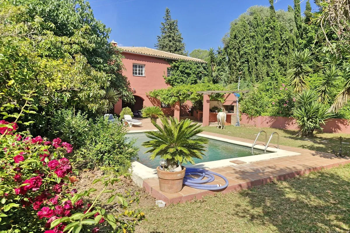 d013ba20-9d93-4314-92a0-039e164085d3