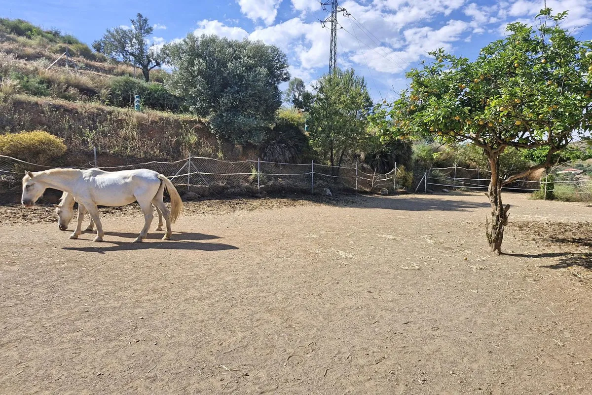 ffe98e5d-dbb6-469c-86a2-729c8ffdf351