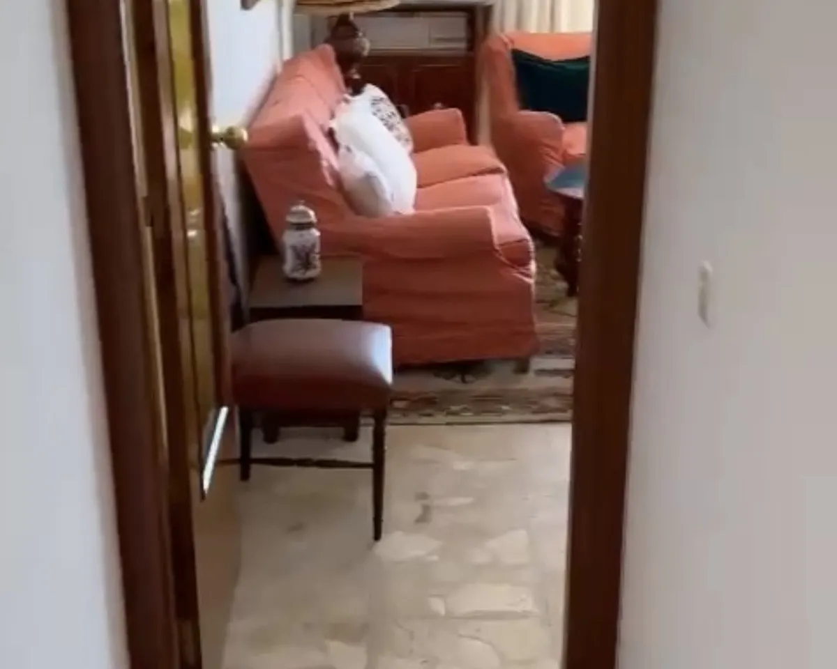 1c02df6a-77b9-4faf-aa47-1049a813ebb6