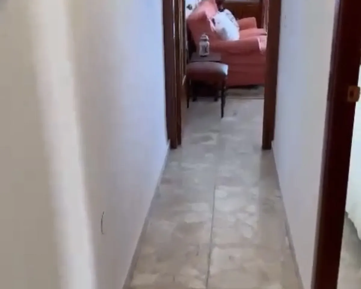 63a68594-f3ff-4b81-9a02-c87856c7a266