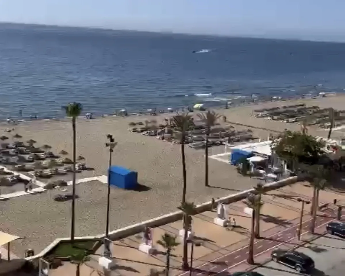 b9bfd169-d0f5-4b09-9208-6b95307a2c5c