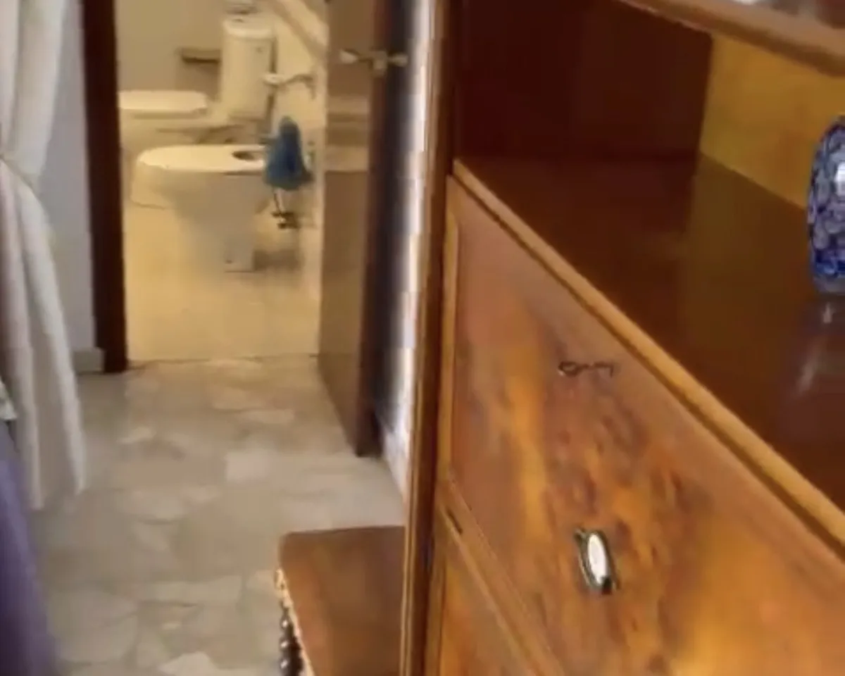 da750715-d414-429e-b2b6-dd2cb1b55874