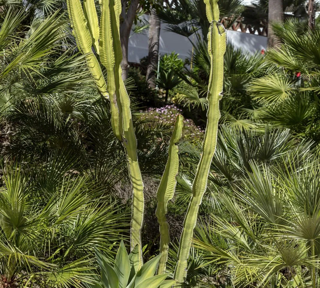 dab967d1-cd7d-4446-ae95-3b1ddf7347d4