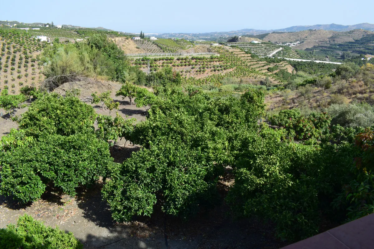 282da13e-8e85-4e0a-84f8-82cb70b750c0