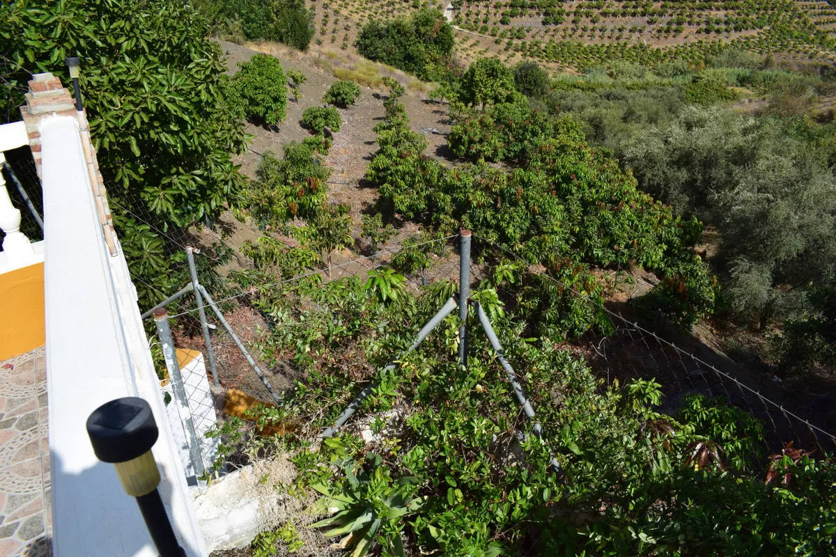 5f263ab8-fbcd-4cf6-a915-0967815e7fb1