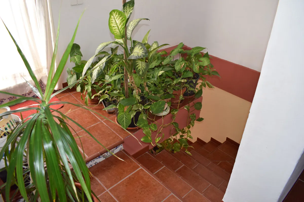 5f50b3c5-dba1-48ad-846c-b1485f7c7a33