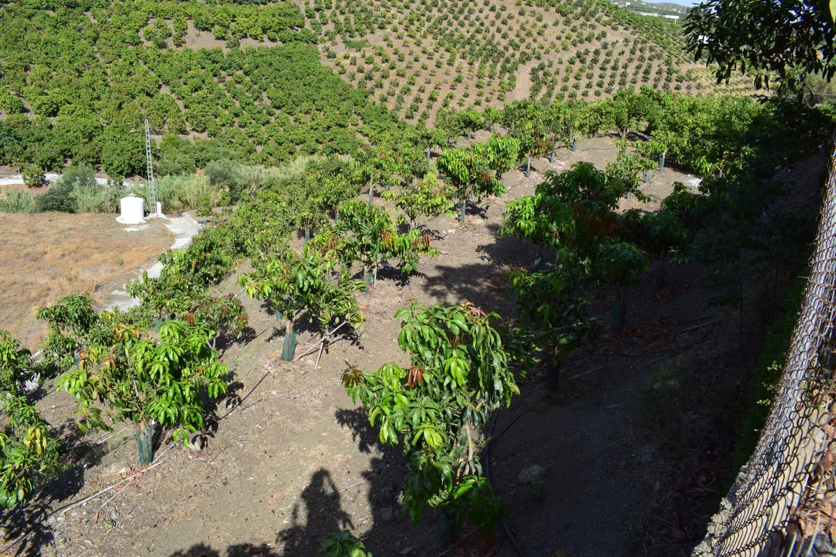 93861e95-b28a-47b3-8a28-bcaf802f1ef6