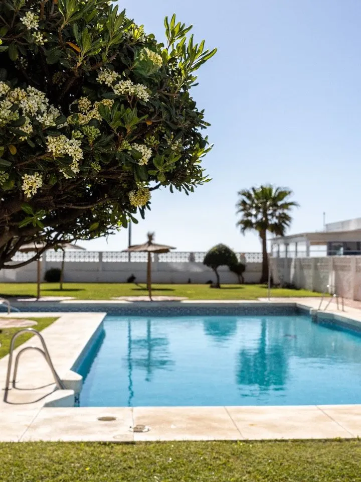 79528d8a-8fd2-4c18-bdfb-e1b8b574b51f