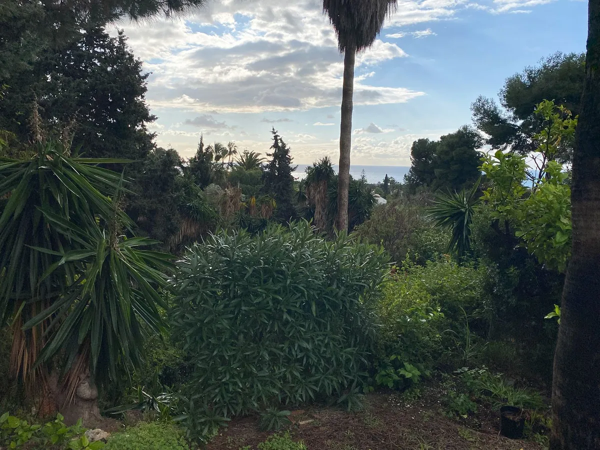 56309d2d-b13a-408c-a118-3055eea467d2