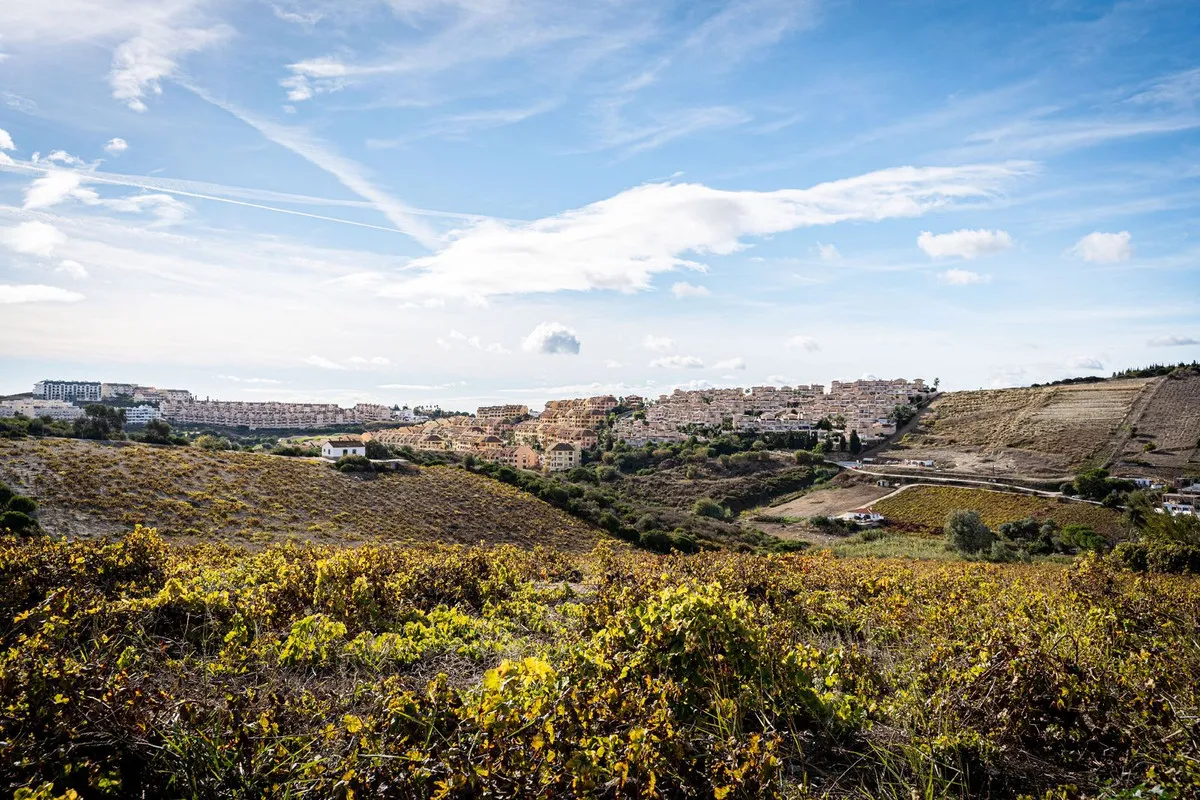 cf0e964f-69f9-4b0f-9055-0b0cdc15d55b