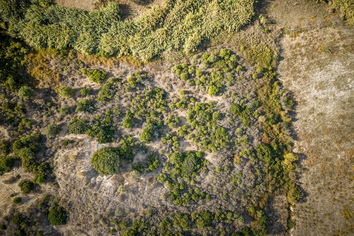 d088f4a5-9f8c-4588-8f40-3dbd83c96384